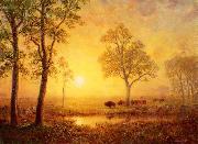 Albert Bierstadt Sunset on the Mountain oil painting